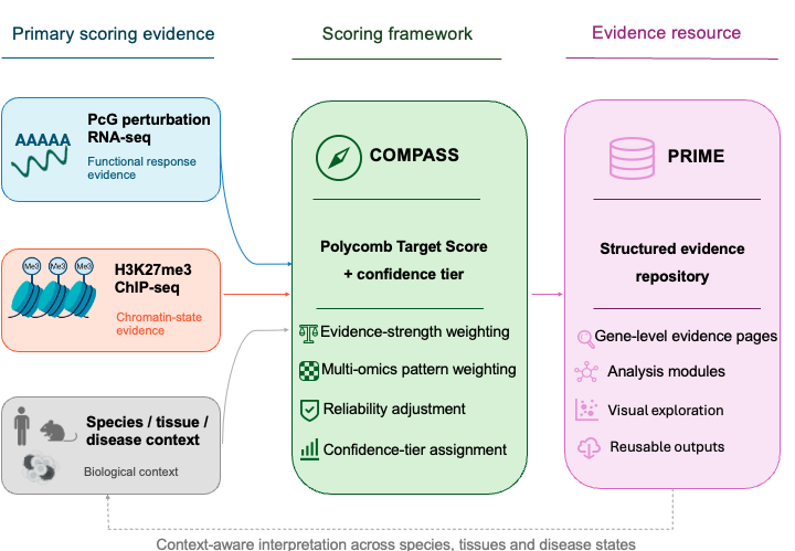 Overview of the COMPASS/PRIME framework for Polycomb target prioritisation