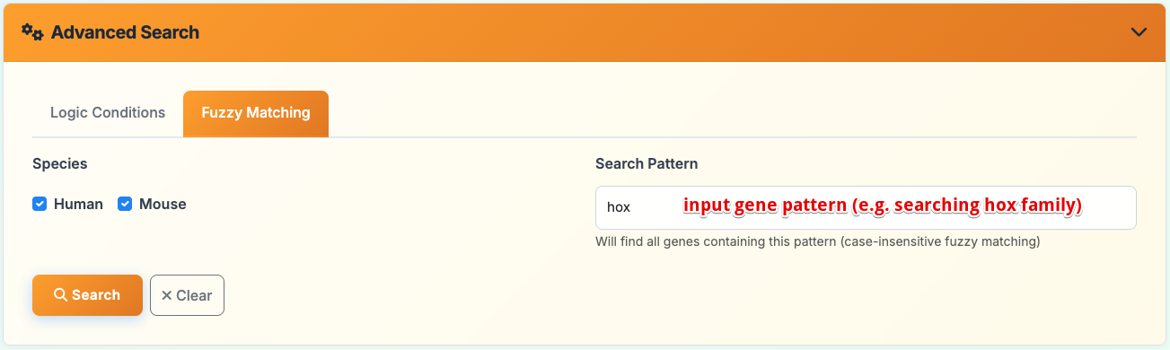 Search fuzzy
