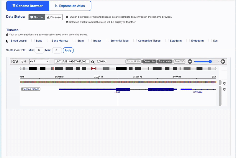 Search igv